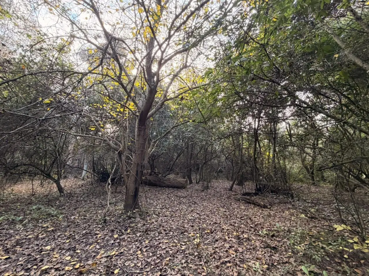 VENTA LOTE PUNTA INDIO 5000M² T-820 5