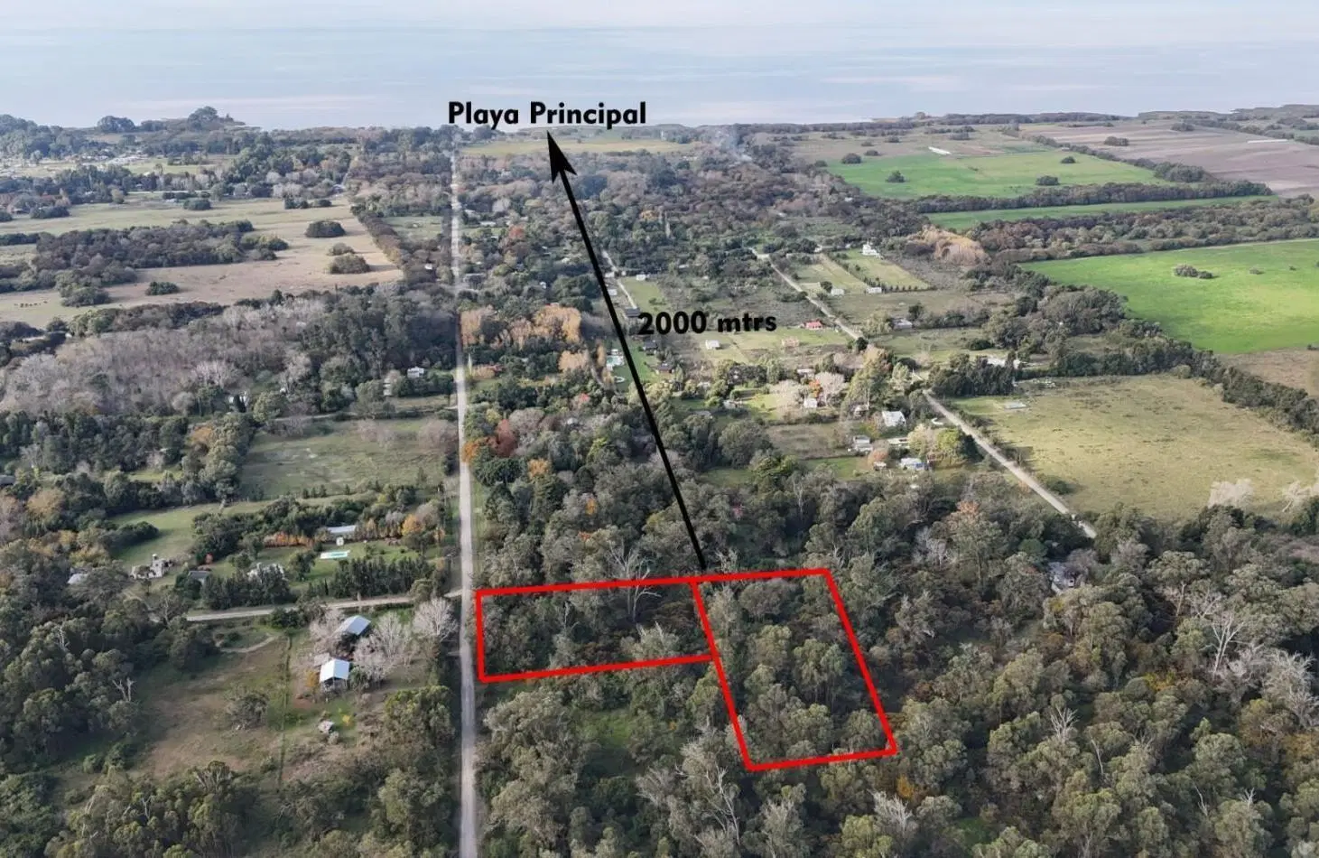 VENTA LOTE 10000M² -  1 HA - PUNTA INDIO 4