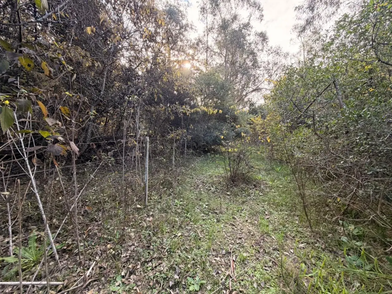 VENTA LOTE 10000M² -  1 HA - PUNTA INDIO 5