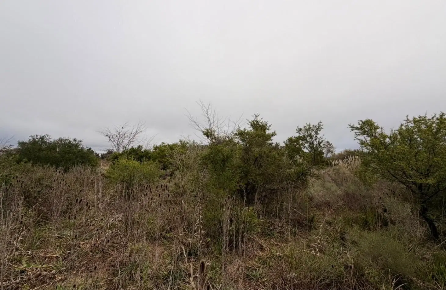 VENTA LOTES PUNTA INDIO T-822 5