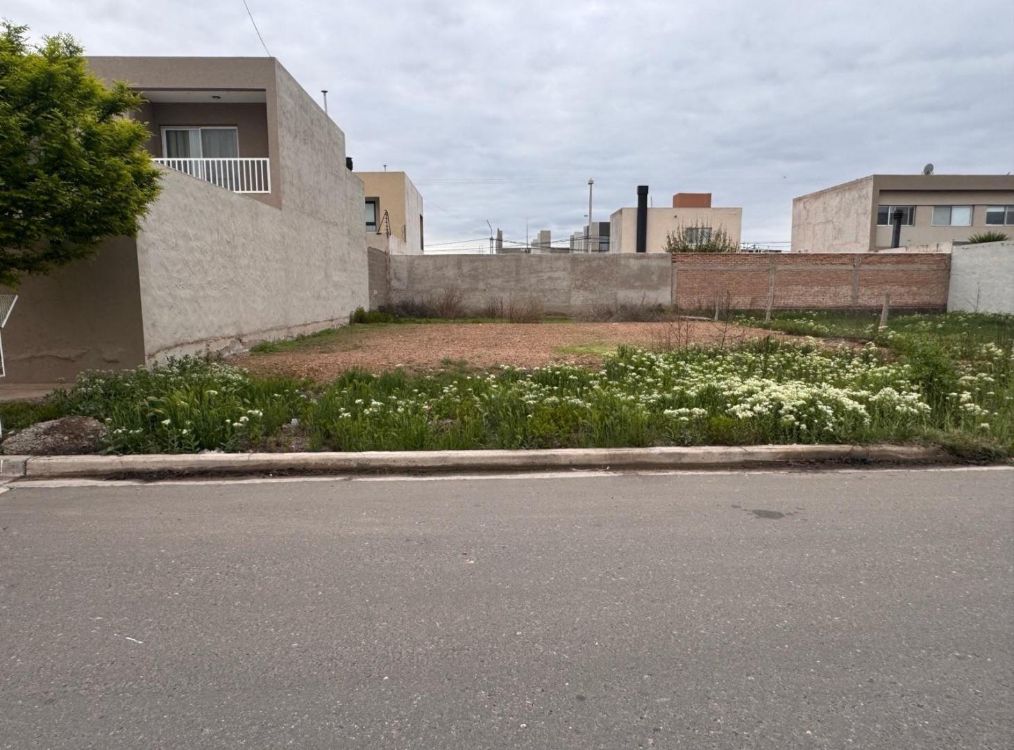 Foto de Terreno - Neuquen, imagen 4