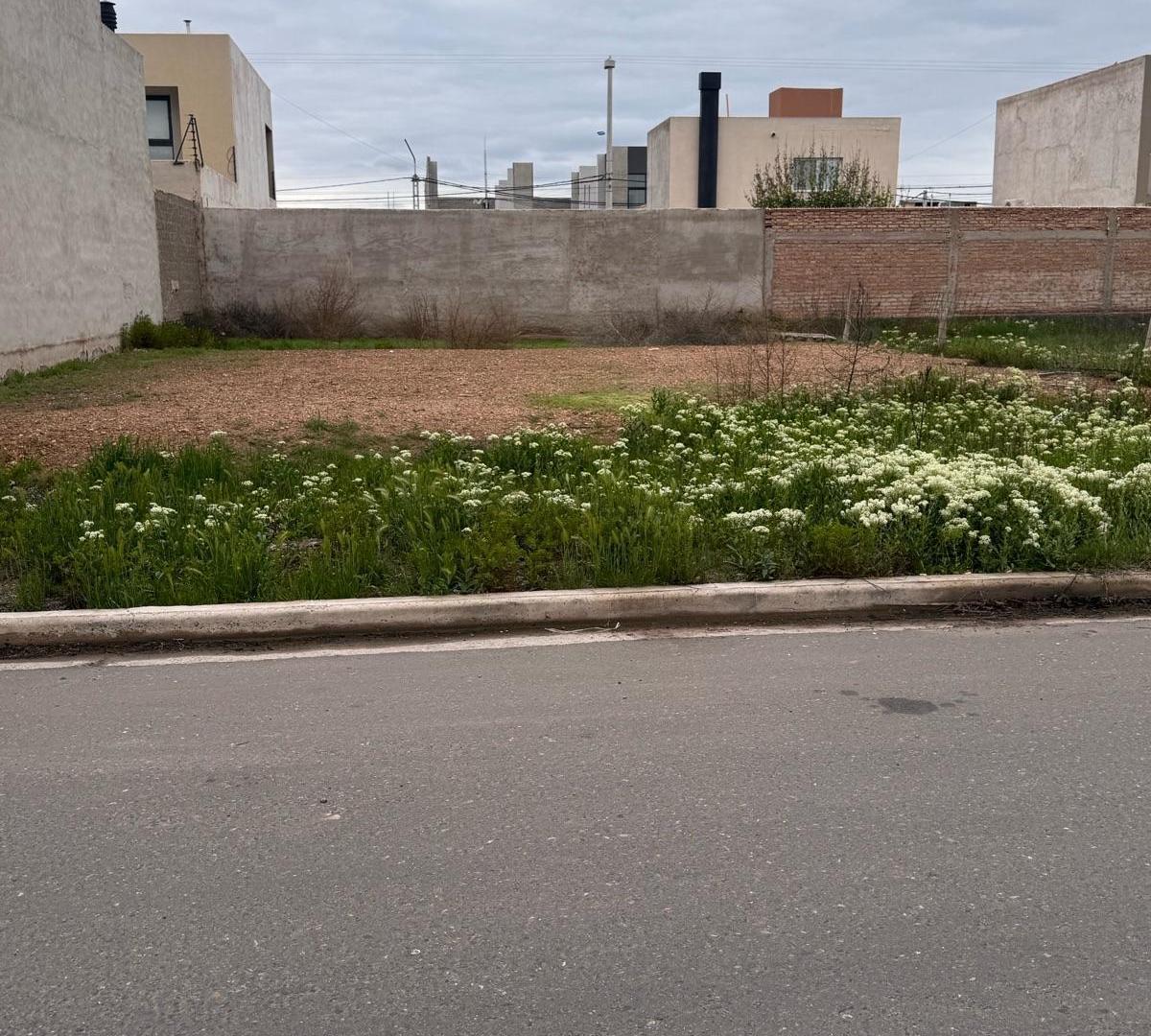Foto de Terreno - Neuquen, imagen 1