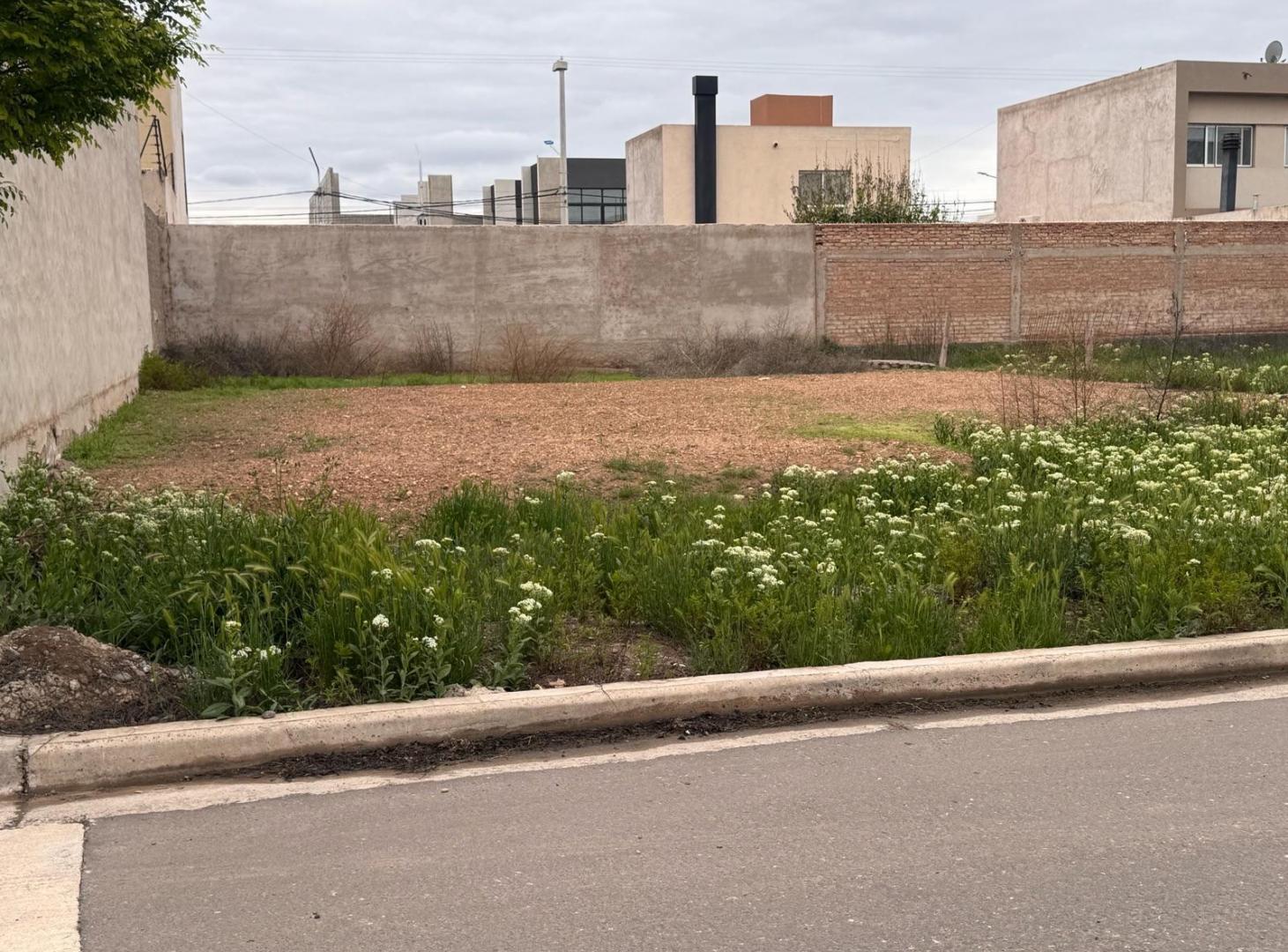 Foto de Terreno - Neuquen, imagen 5