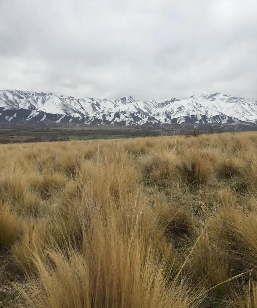 Lote Soñado en Estancia Atamisque - La Carrera, Tupungato 4