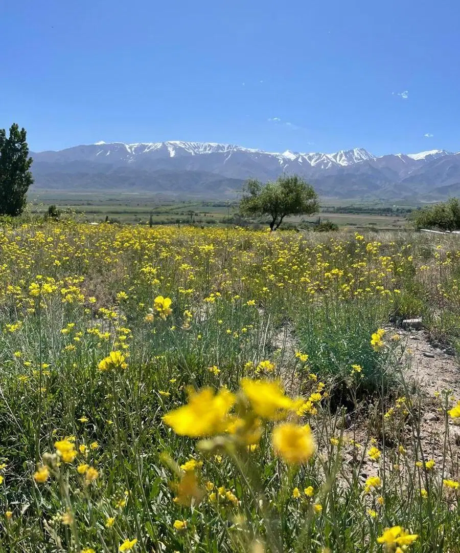 Lote Soñado en Estancia Atamisque - La Carrera, Tupungato 1