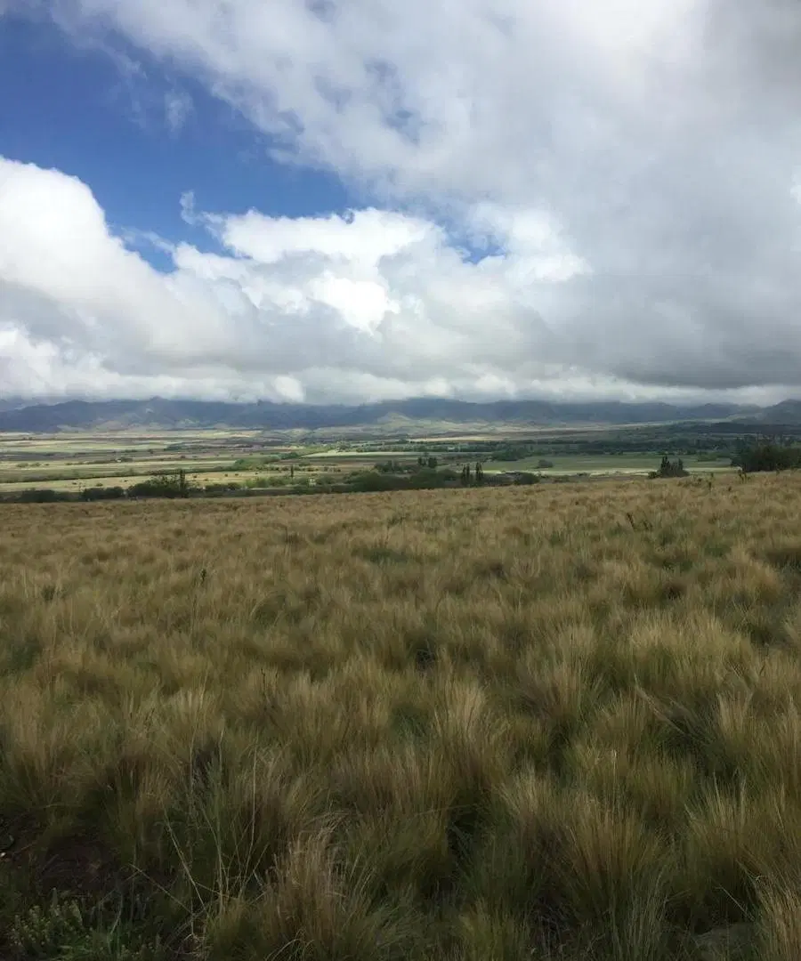 Lote Soñado en Estancia Atamisque - La Carrera, Tupungato 5