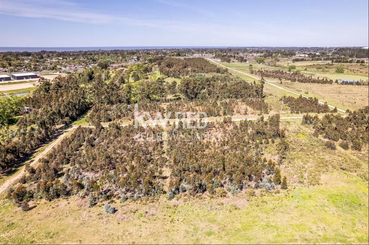 Venta de Terreno de 70.000 m² en Canelones 3