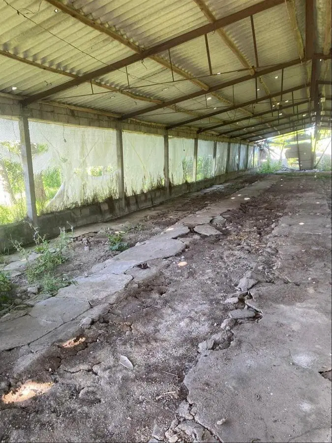 VENTA Chacra Ruta 102 Próximo Camino Mendoza 4