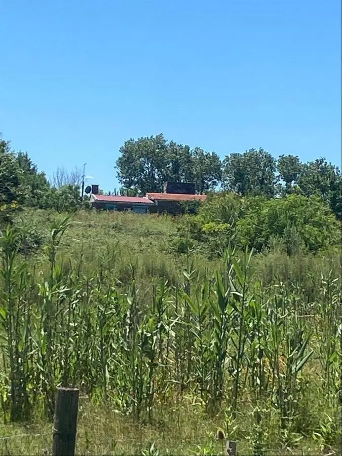 VENTA Chacra Ruta 102 Próximo Camino Mendoza 2