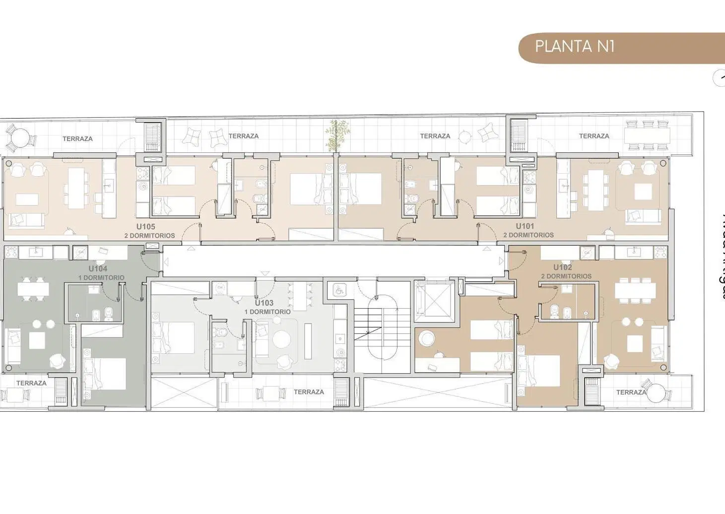 Plano 4