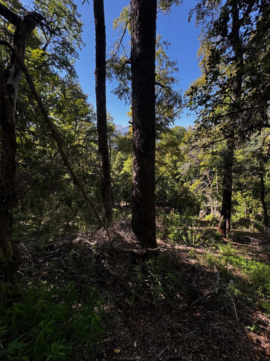 Vendo lote en el barrio de Alihuen Alto en San Martin de los Andes