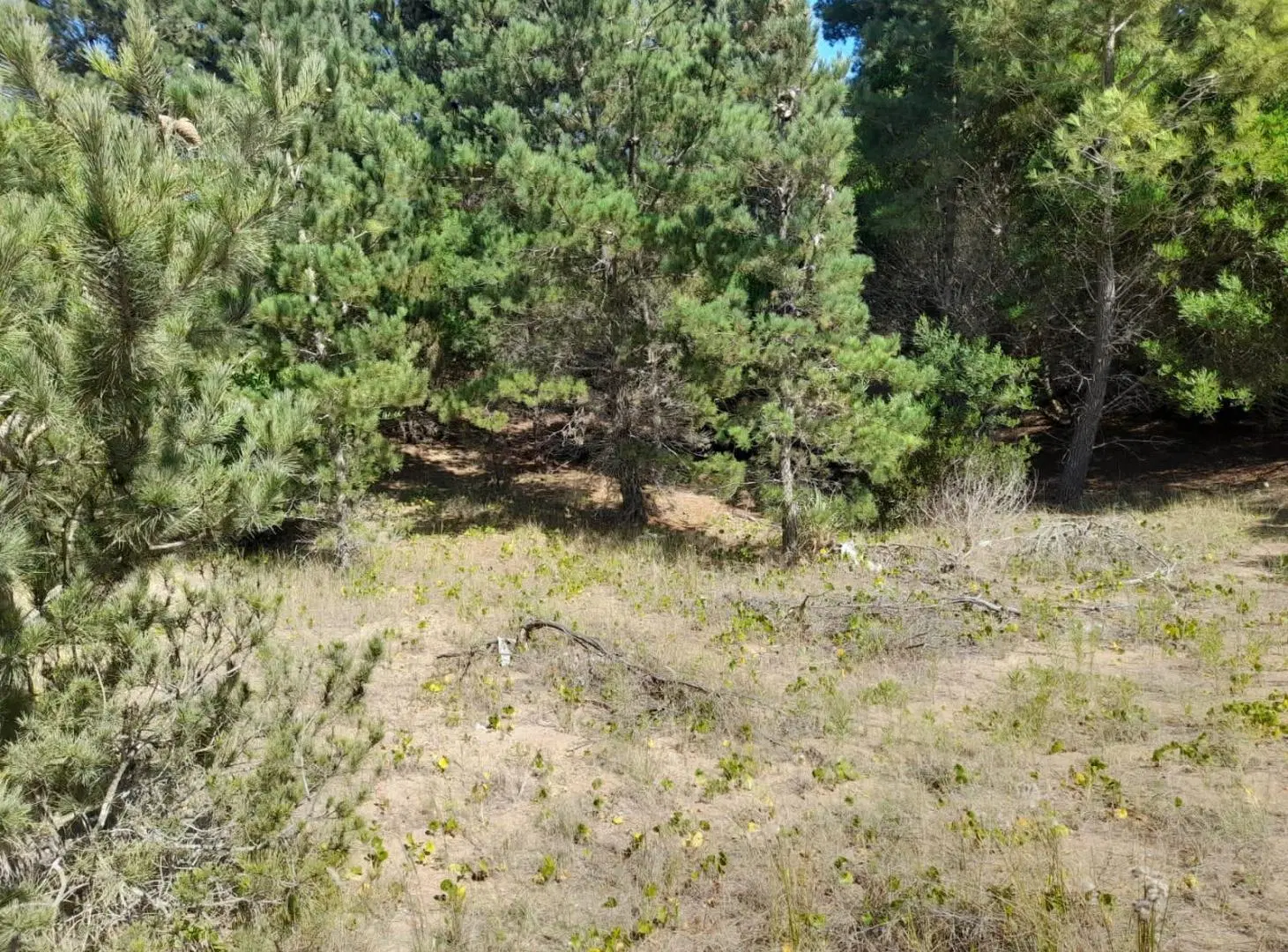 Terreno en Venta, Costa Esmeralda, Barrio Ecuestre, Lote 100 3