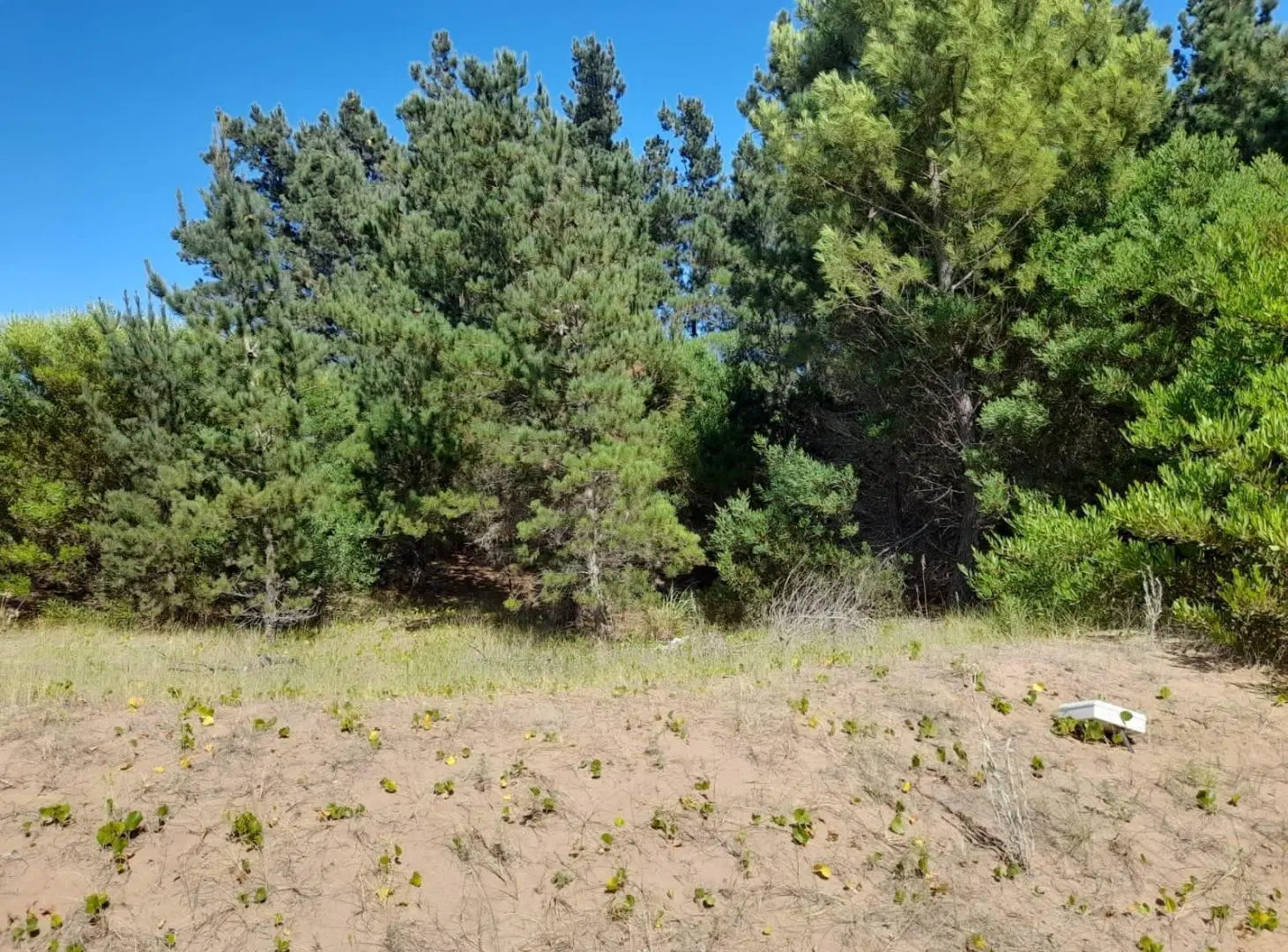 Terreno en Venta, Costa Esmeralda, Barrio Ecuestre, Lote 100 4