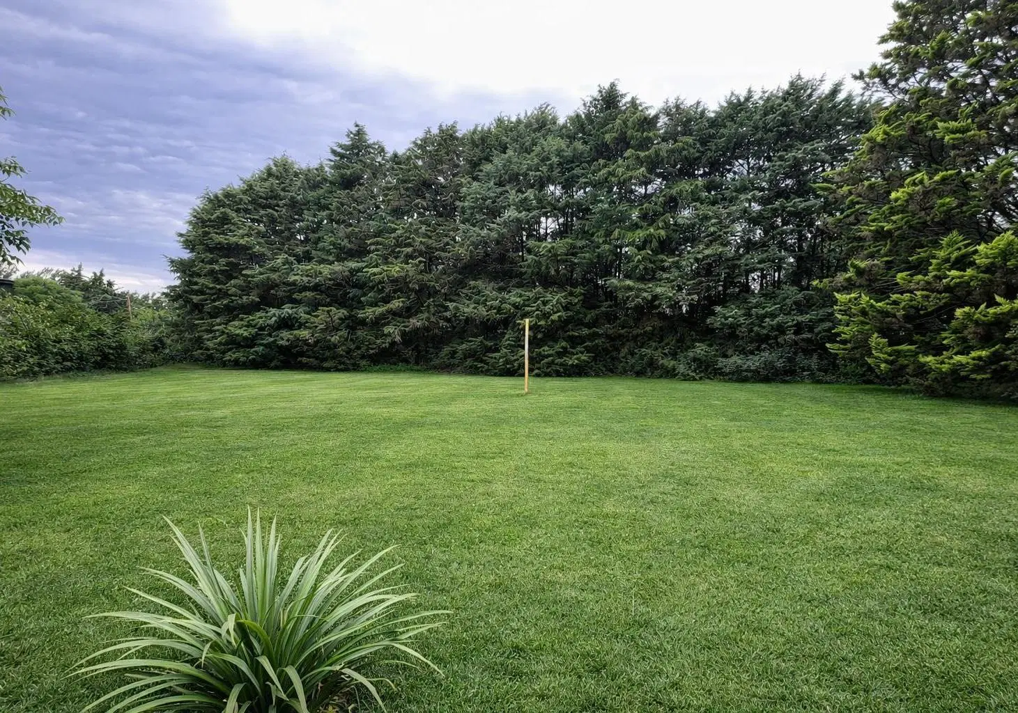 Quinta en Venta Ideal inversor, desarrollo, uso recreativo 3140 m2 calle 46 e/ 243  y 244 4