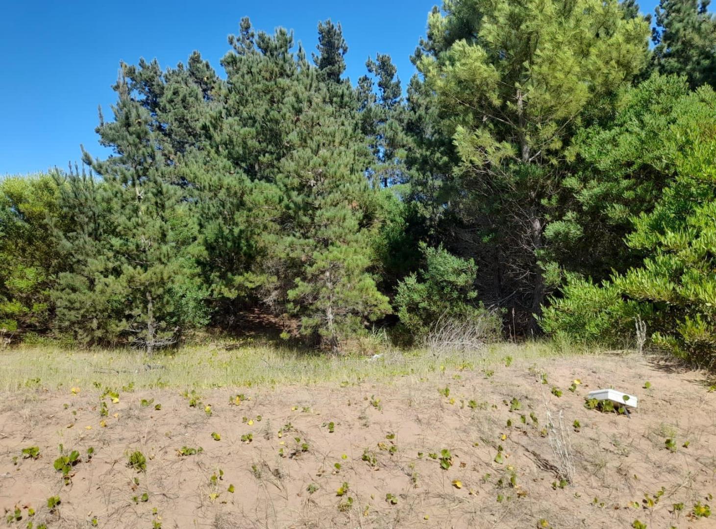 Foto de Terreno en Venta, Costa Esmeralda, Barrio Ecuestre, Lote 100, imagen 3