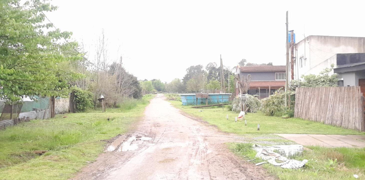 Foto de Terreno en venta, imagen 5