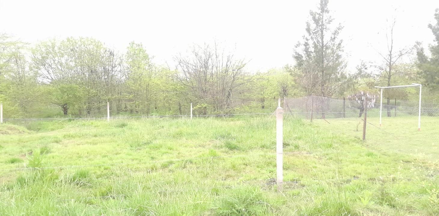 Foto de Terreno en venta, imagen 4