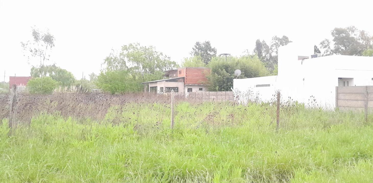 Foto de Terreno en venta, imagen 3