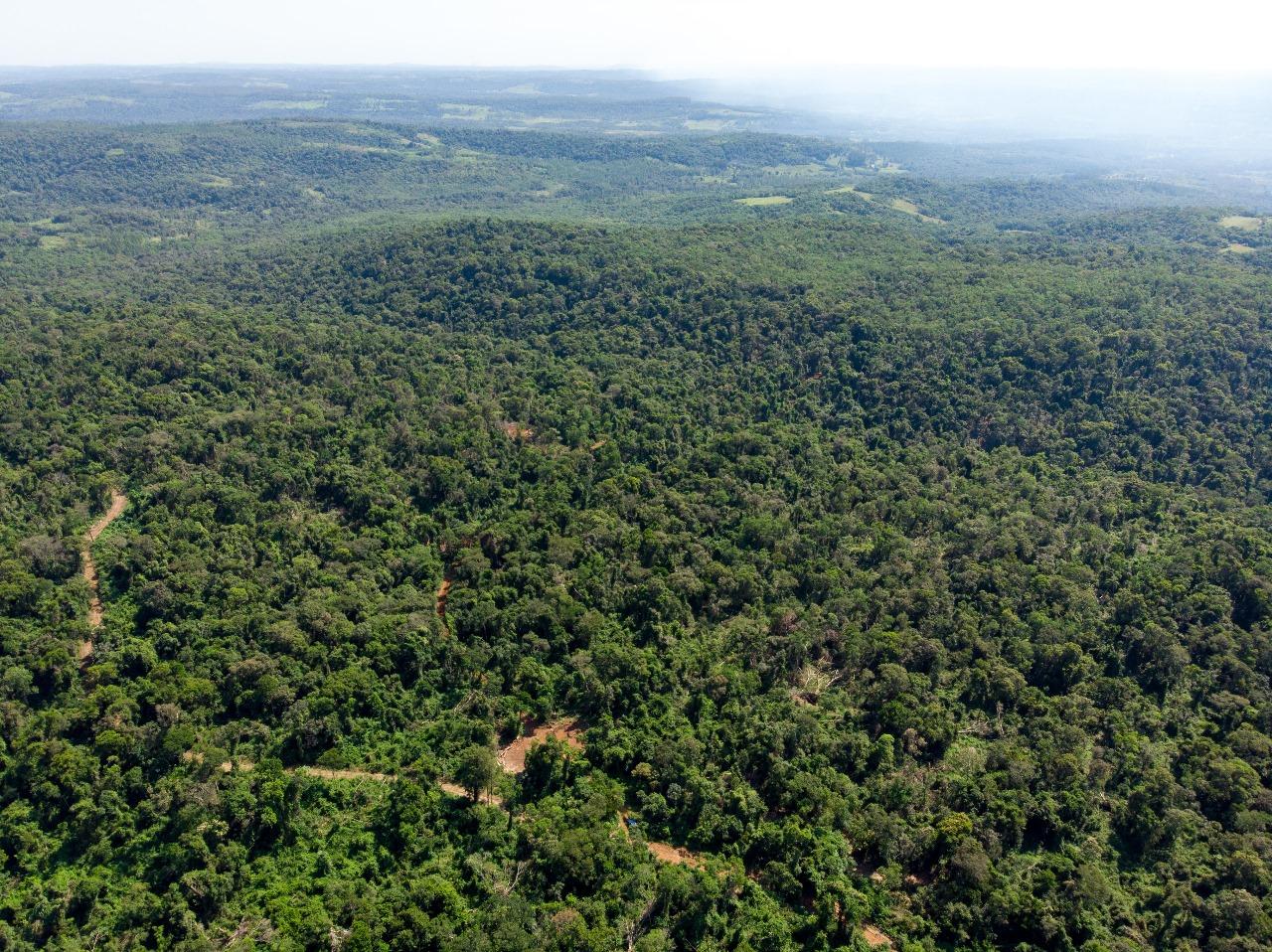 Foto de 220 has de monte nativo, imagen 3