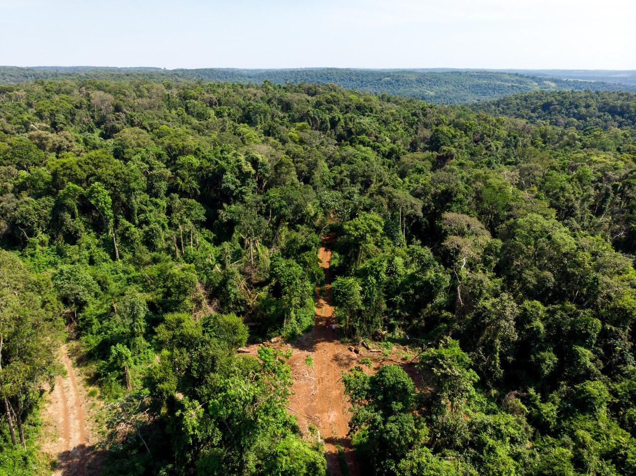 Foto de 220 has de monte nativo, imagen 1