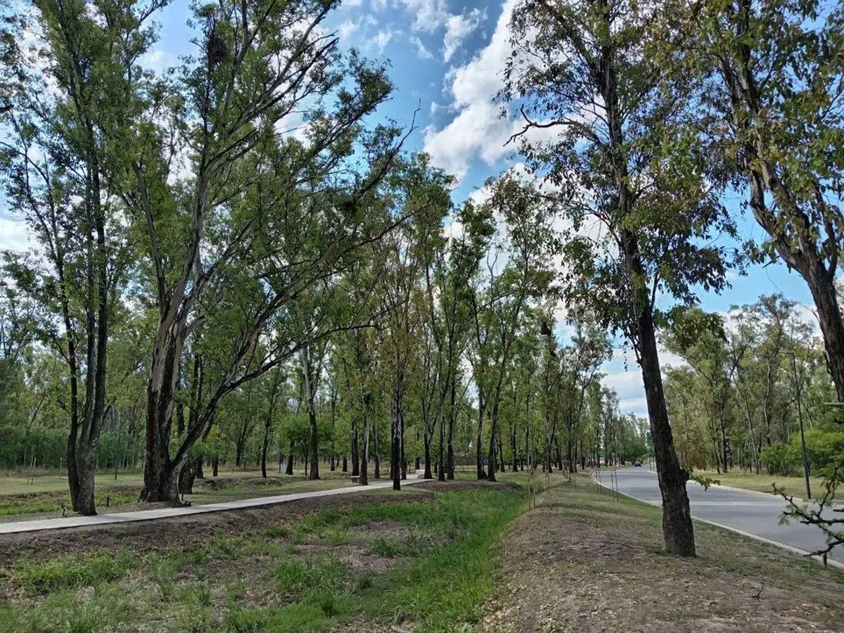TERRENO DE 305 M2 EN VENTA EN NUEVO MALAGUEÑO LOTE ESQUINA 4