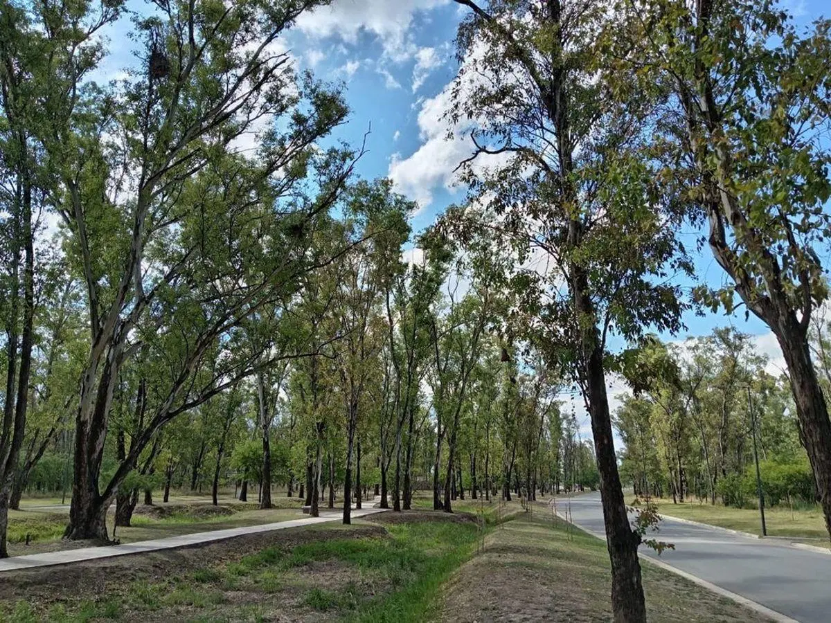 TERRENO DE 305 M2 EN VENTA EN NUEVO MALAGUEÑO LOTE ESQUINA 5