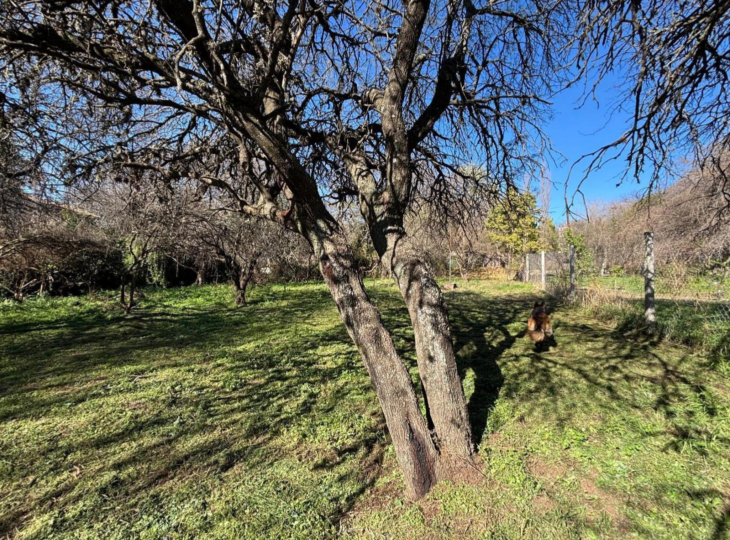 Foto de VENTA TERRENO EN VILLA VARCALDE 1313 M2 CON ESCRITURA, imagen 4