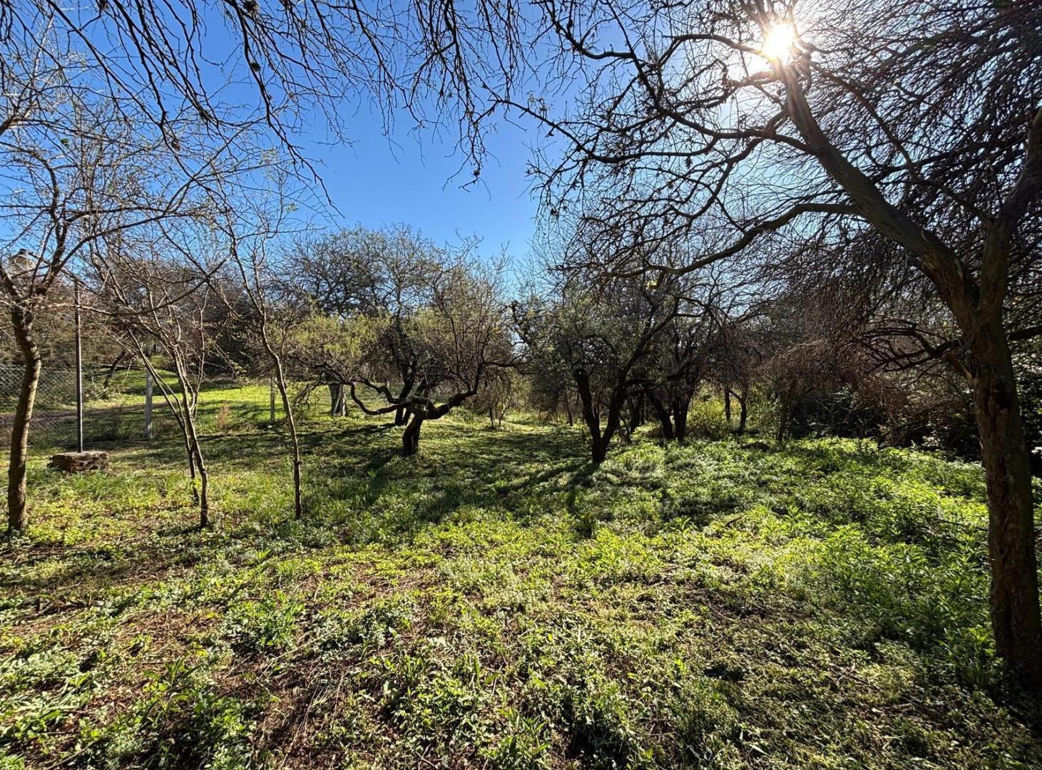 Foto de VENTA TERRENO EN VILLA VARCALDE 1313 M2 CON ESCRITURA, imagen 5