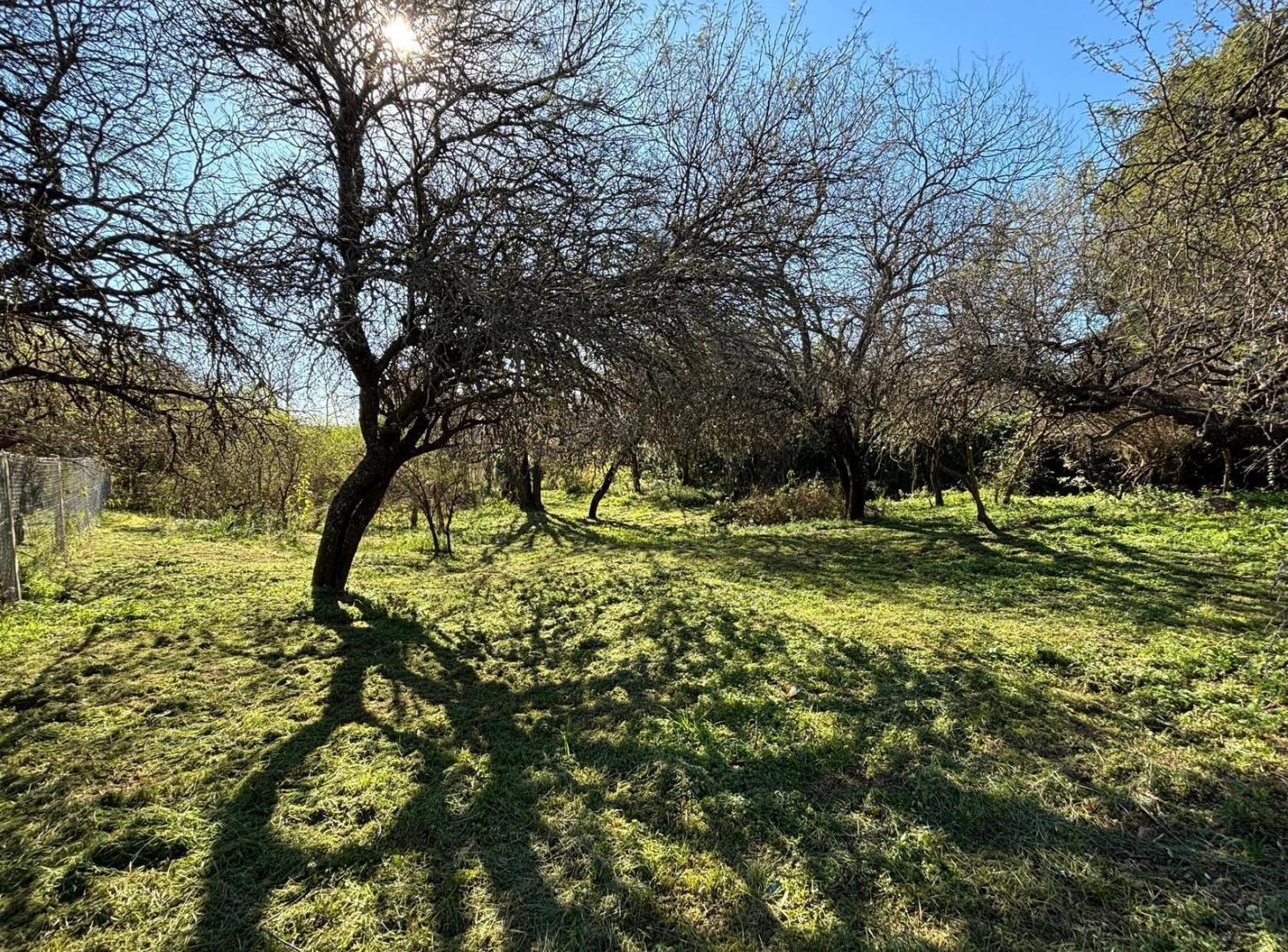 Foto de VENTA TERRENO EN VILLA VARCALDE 1313 M2 CON ESCRITURA, imagen 3