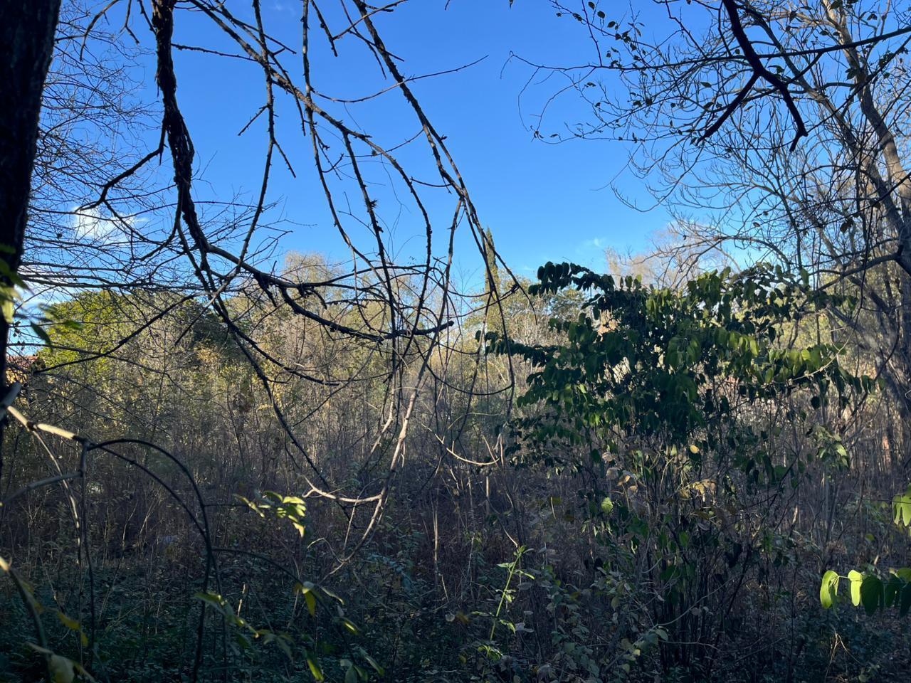 Foto de Terreno en Villa Allende, imagen 1