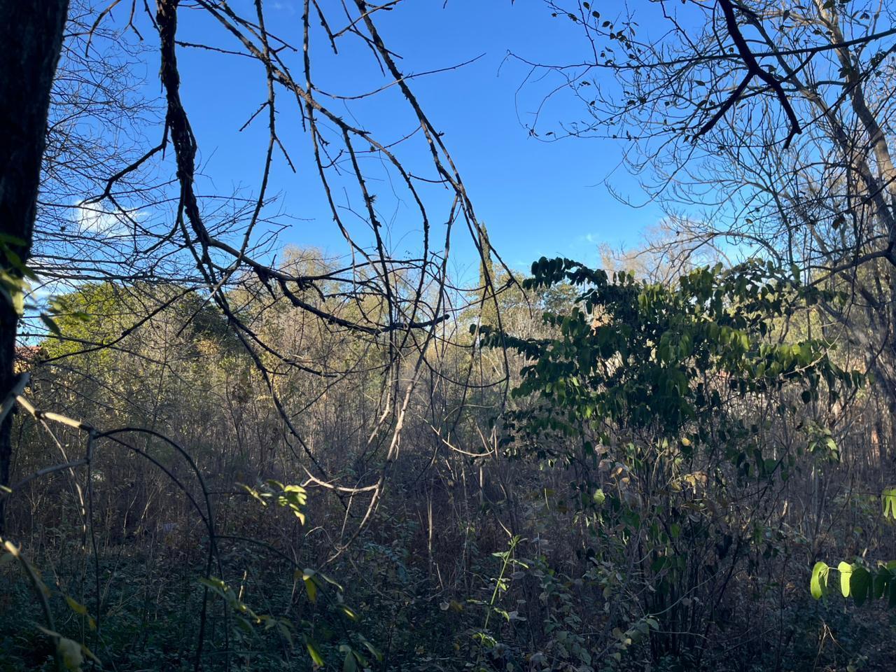 Foto de Terreno en Villa Allende, imagen 5