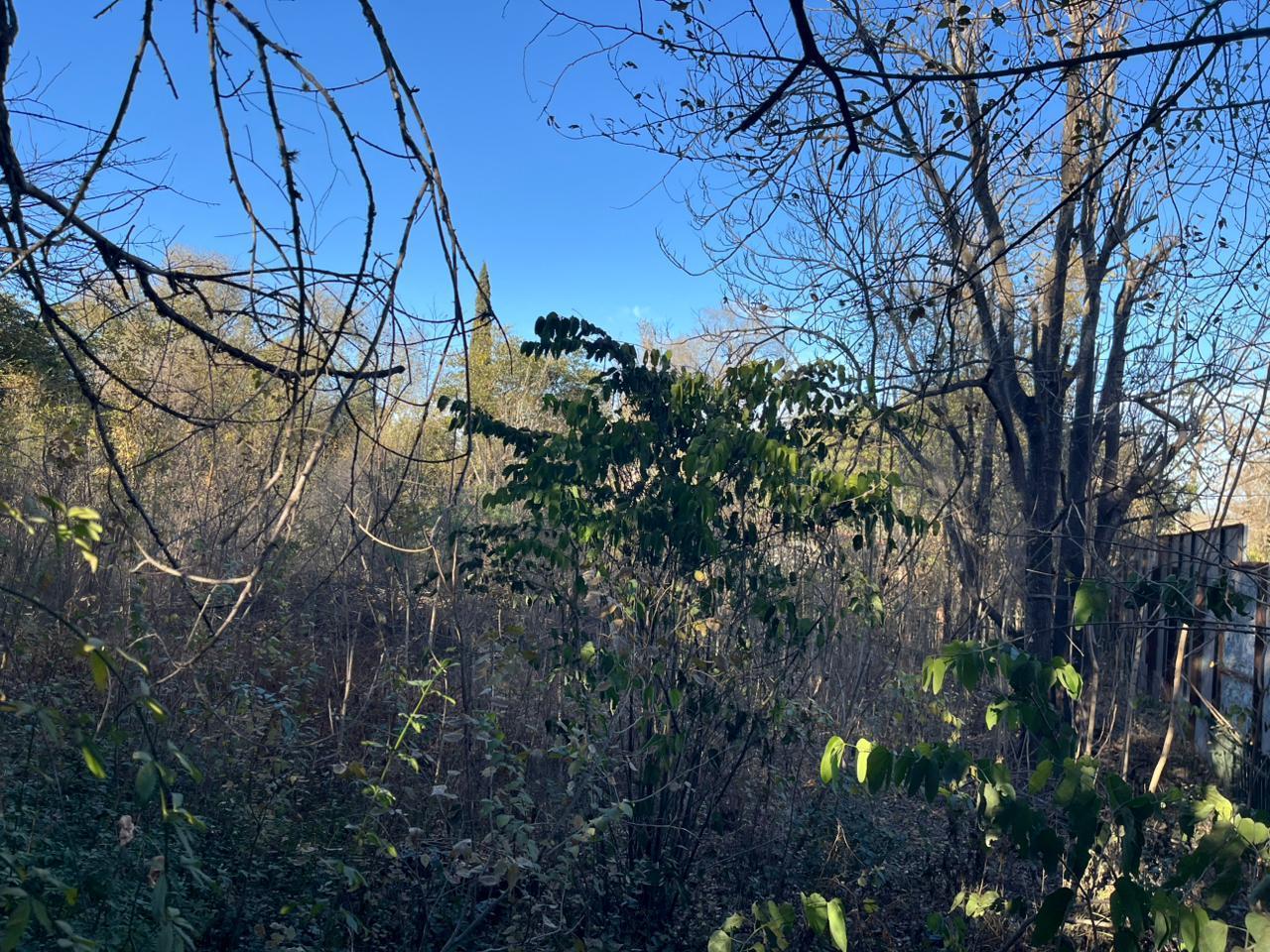 Foto de Terreno en Villa Allende, imagen 4