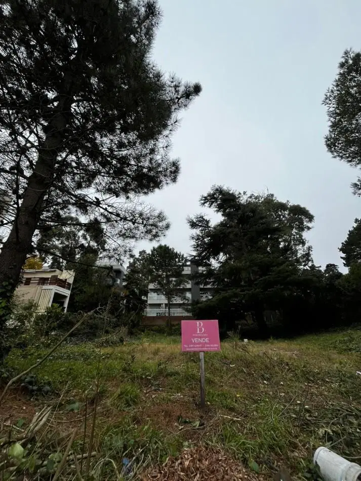 LOTE MULTIFAMILIAR 800M2 En pleno centro de Pinamar 5