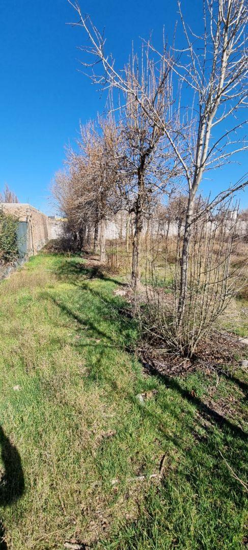 Lote. | Los Juncos 5