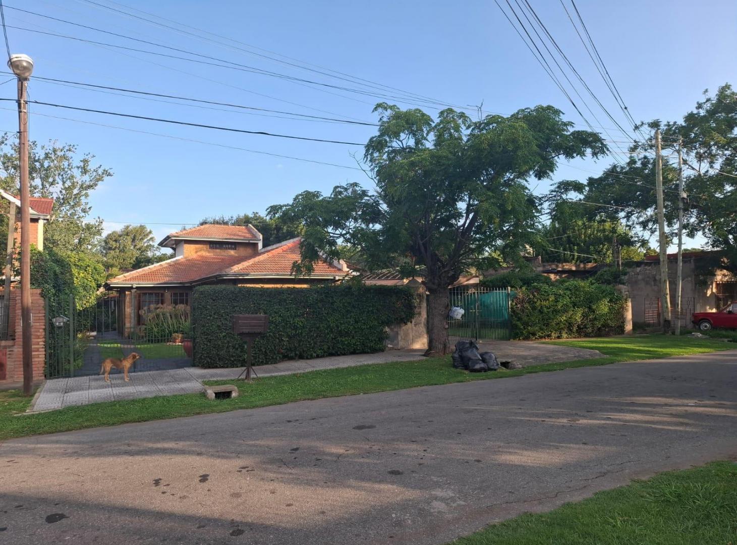 Foto de CHALET SOBRE DOS LOTES, imagen 5