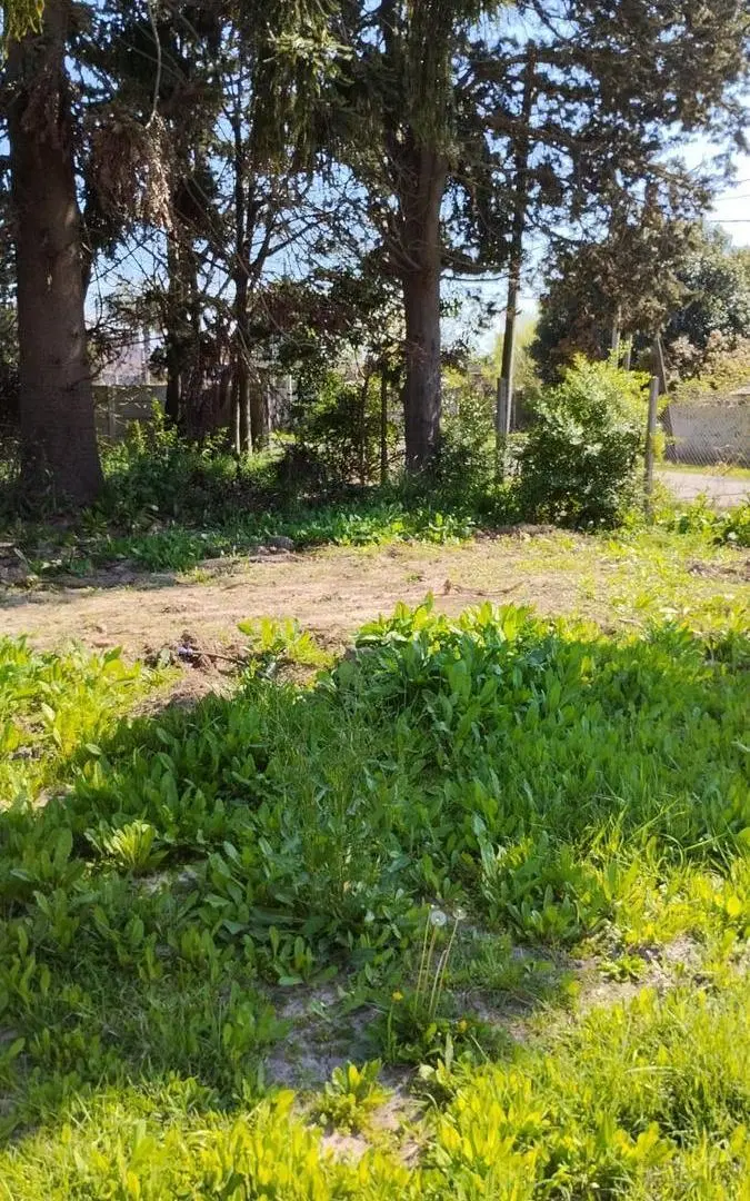 TERRENO 3