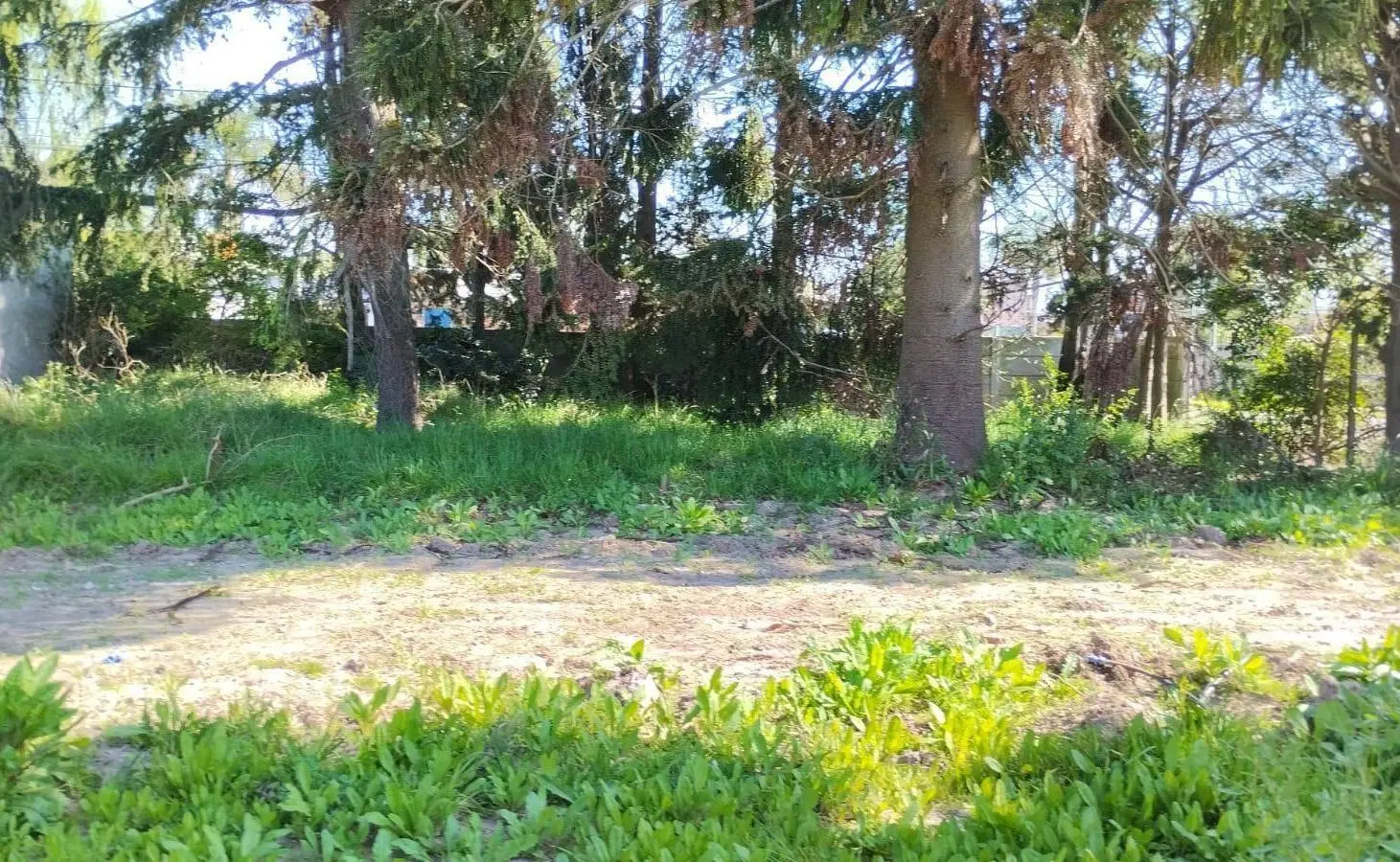 TERRENO 2