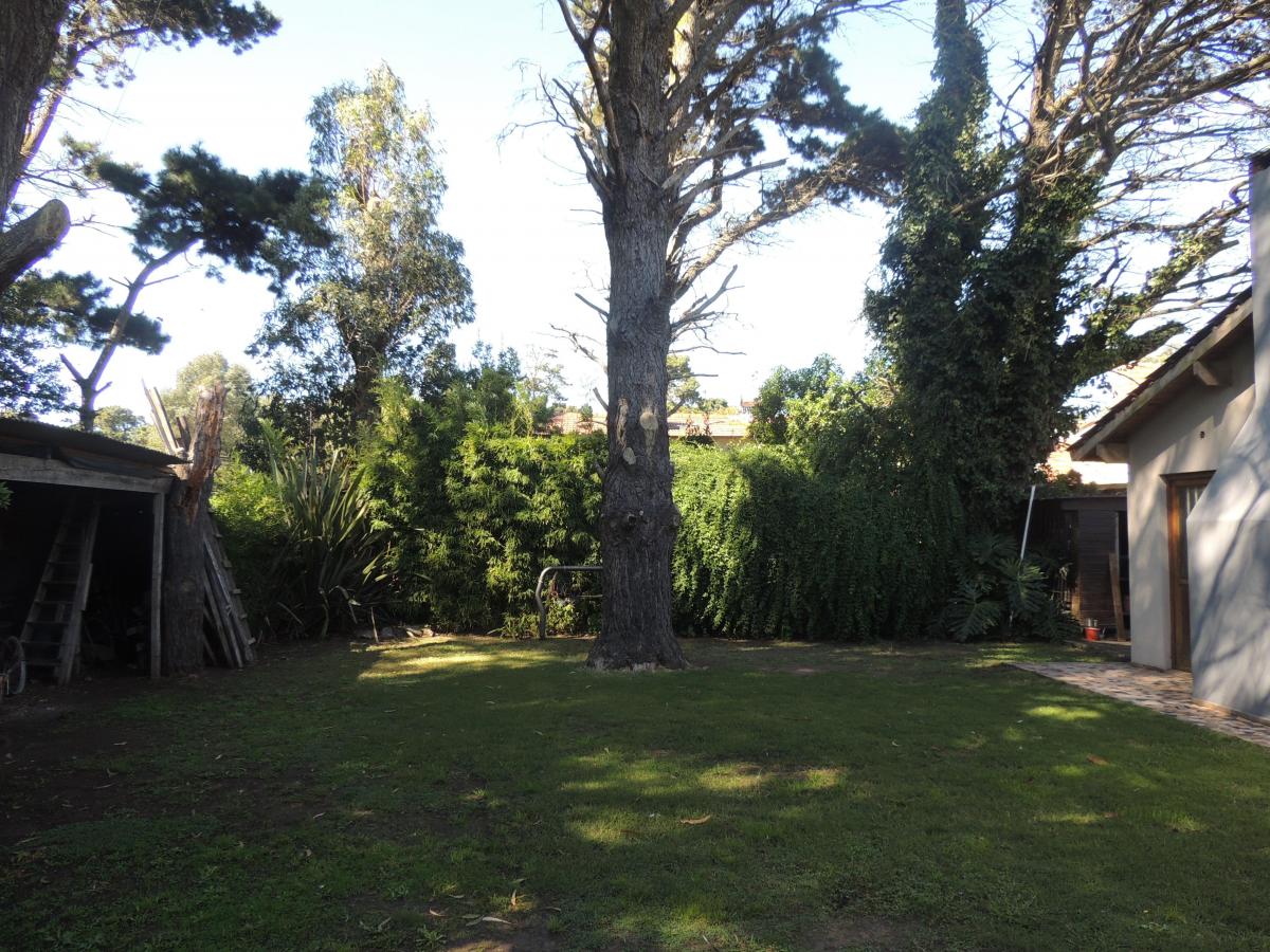 Casa 5