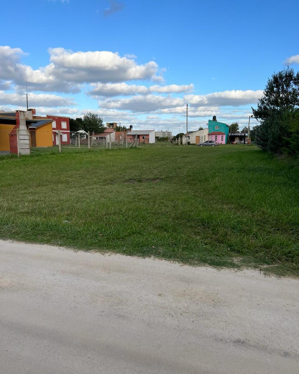 Lote Baldio - Camet Norte 1