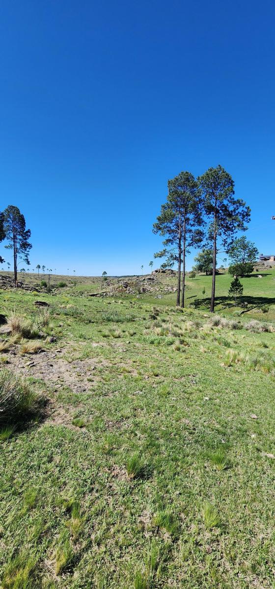 Lotes Desde 4000 Mst 2