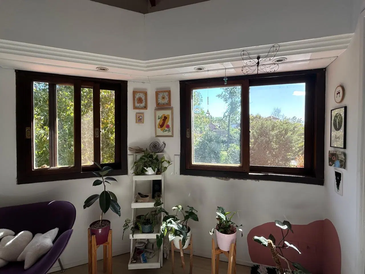 Casa en Los Laureles 2