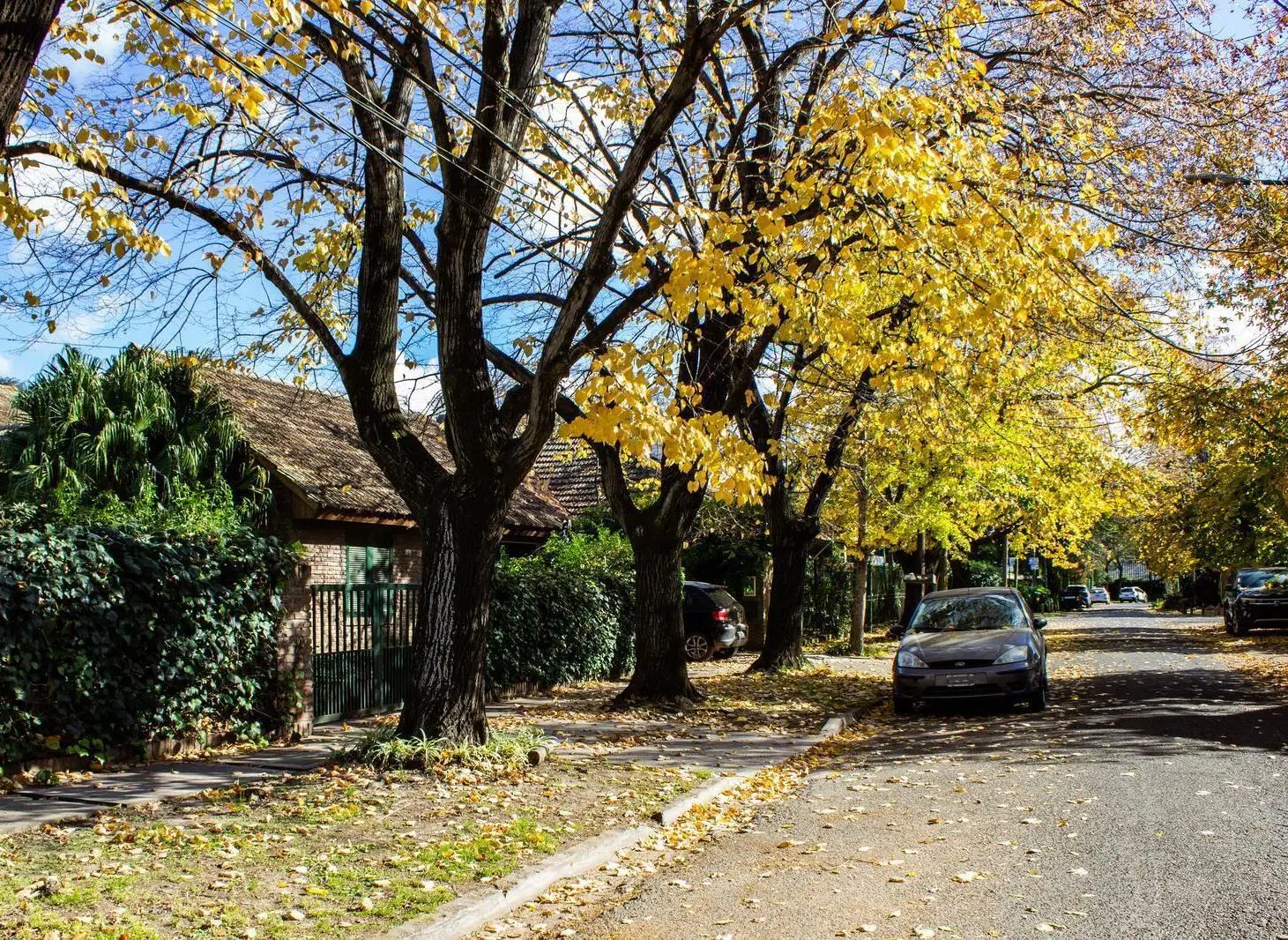 Casa en Las Lomas de San Isidro 4