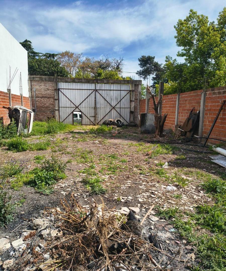 Foto de Terreno en ALQUILER, imagen 4