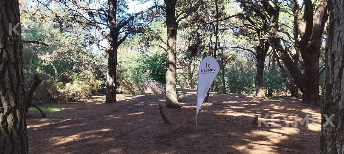 Terrenos en Venta. Costa del Este. La Reserva 100 m del Mar. un Lugar Soñado 4
