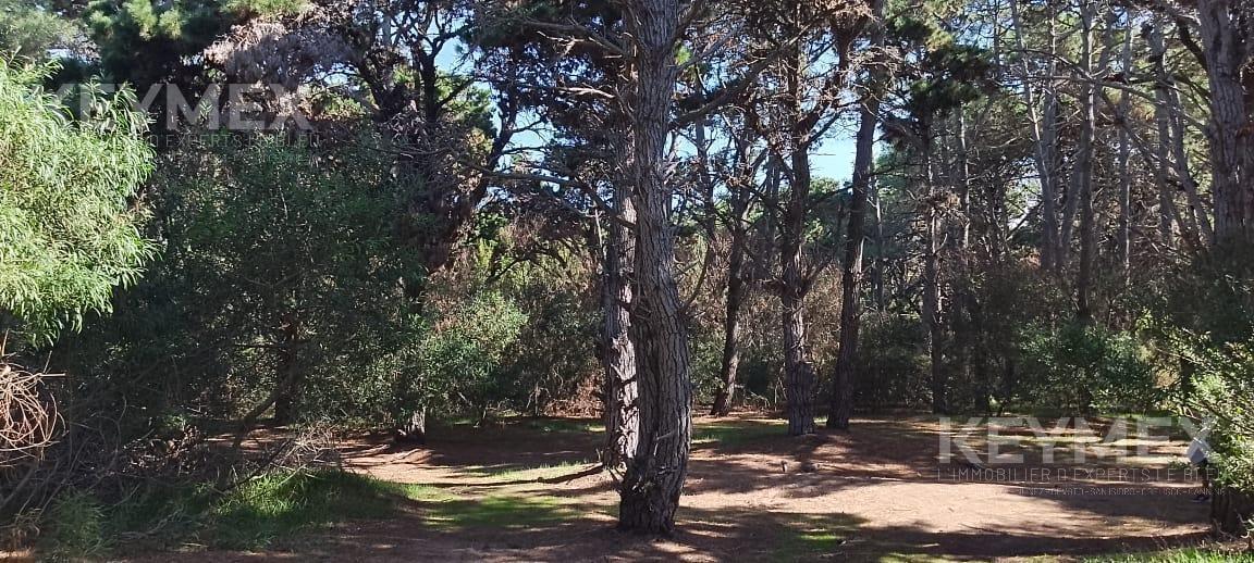 Terrenos en Venta. Costa del Este. La Reserva 100 m del Mar. un Lugar Soñado 5