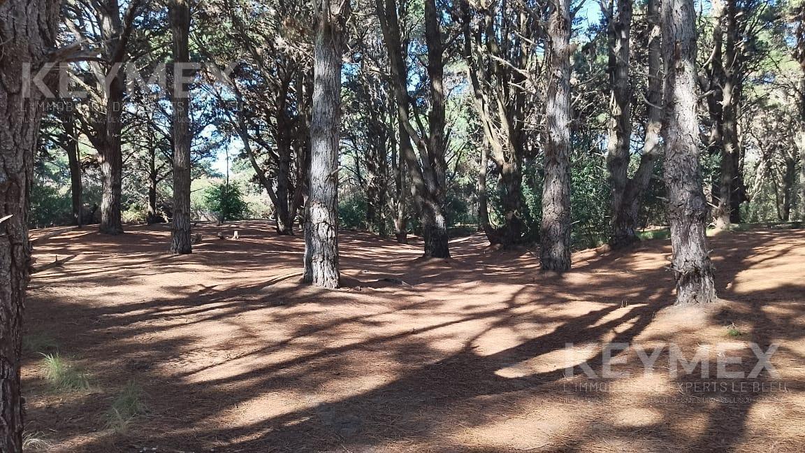 Terrenos en Venta. Costa del Este. La Reserva 100 m del Mar. un Lugar Soñado 5