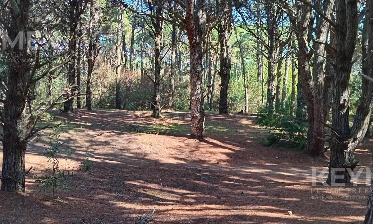 Terrenos en Venta. Costa del Este. La Reserva 100 m del Mar. un Lugar Soñado 3