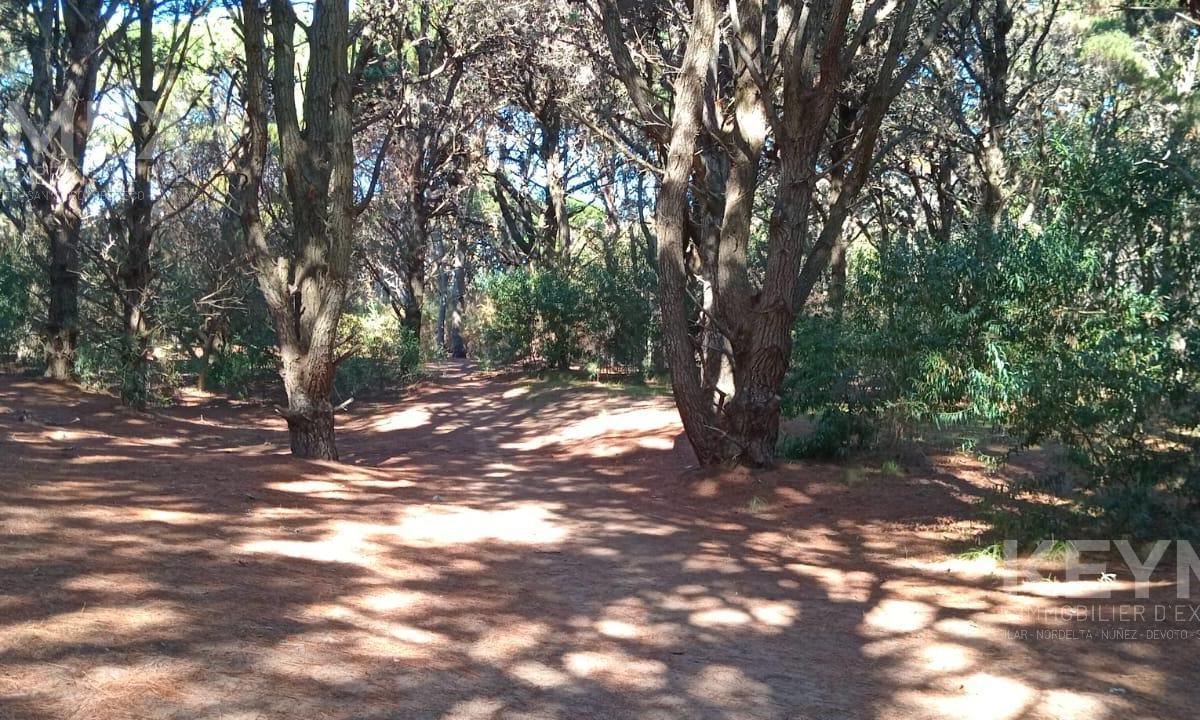 Terrenos en Venta. Costa del Este. La Reserva 100 m del Mar. un Lugar Soñado 2