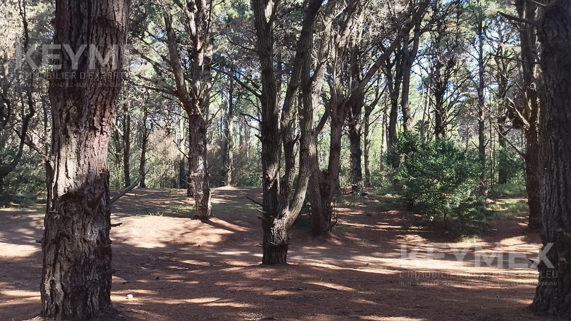 Terreno en venta en Punta Médanos