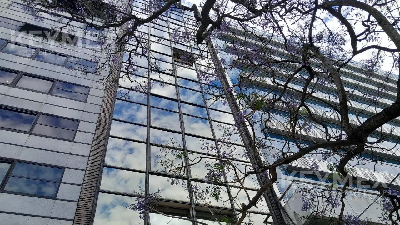 Venta de Oficina en inmejorable zona de Cerrito y Av. Santa Fe. 2